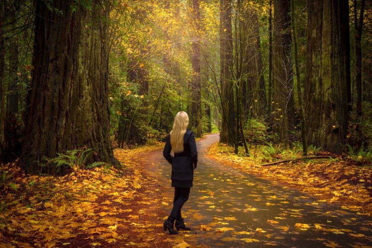 Блондинка в осеннем лесу