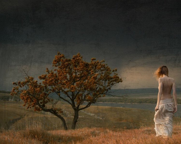 Дама в тумане