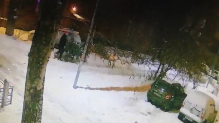 Незаконная рубка