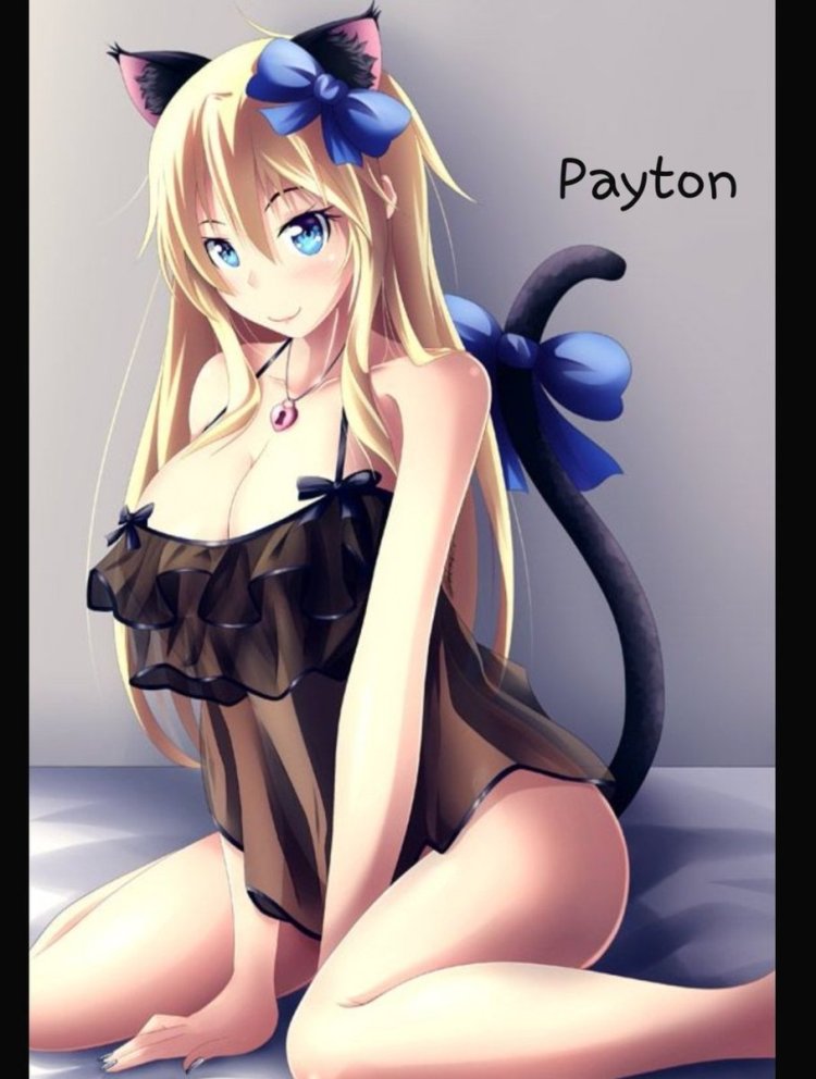 Кьяру неко аниме