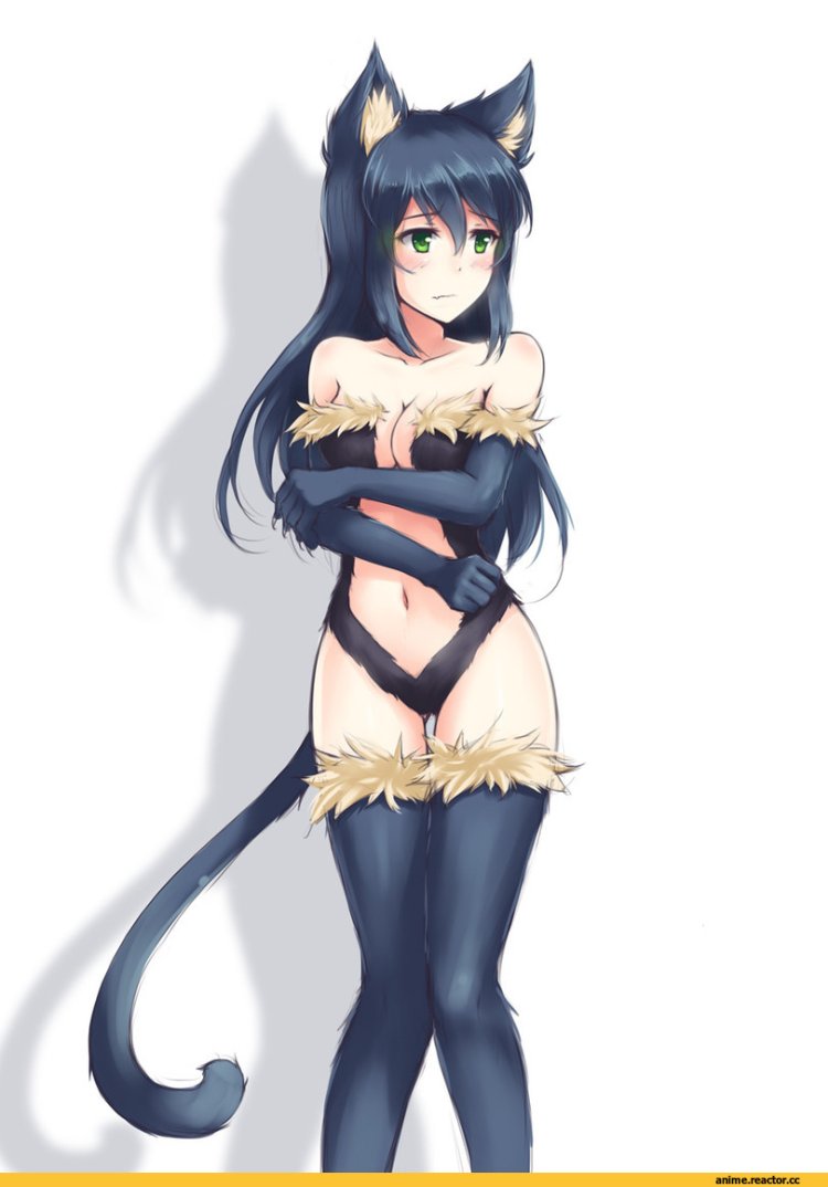 Кошачий хвост для девушек