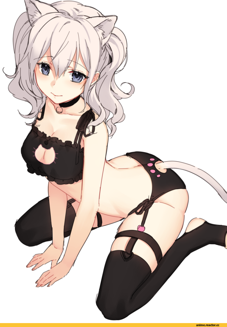 Kashima kantai неко