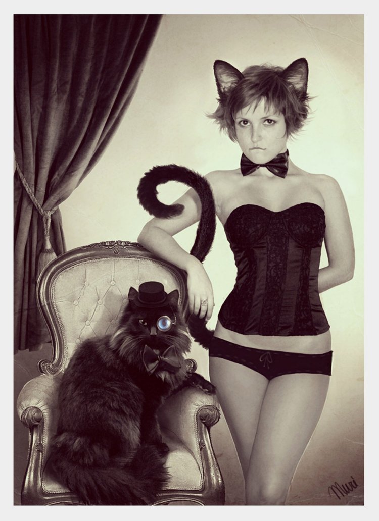 Девушки киса