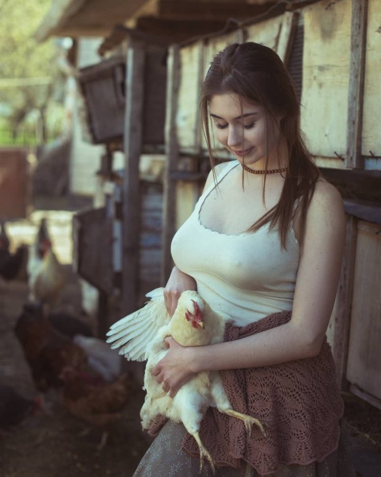 Давид Дубницкий доярка