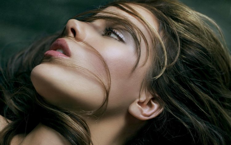 Andres Perez Campillo