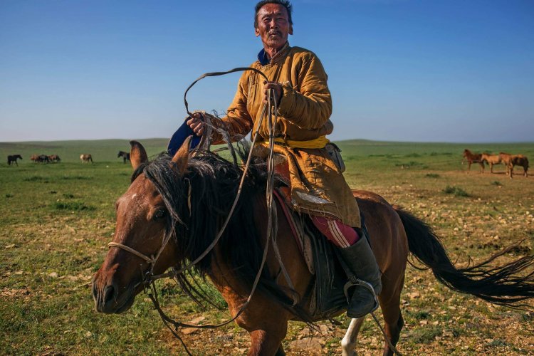 Поезд Иркутск Улан Батор