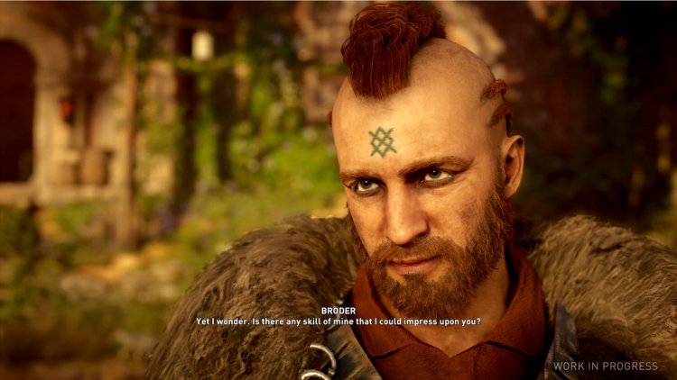 Assassin's Creed Valhalla Бродер