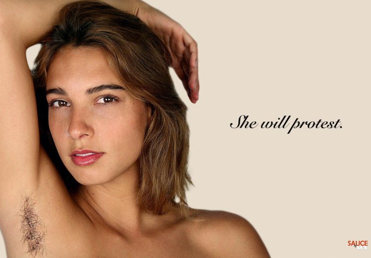 Федор Шмидт