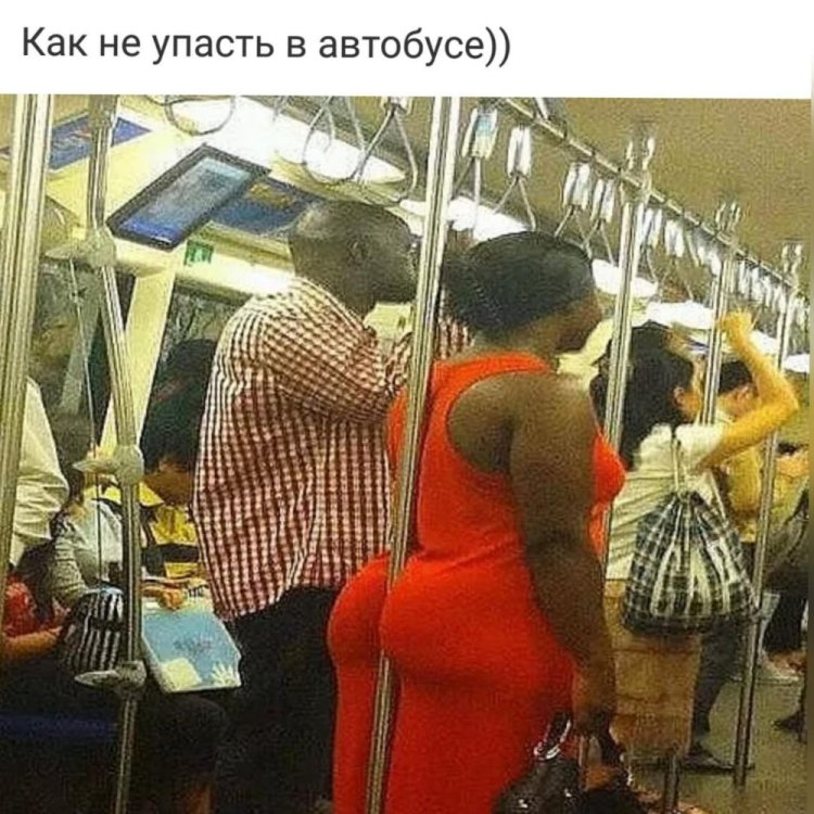 Толстые женщины в общественном транспорте