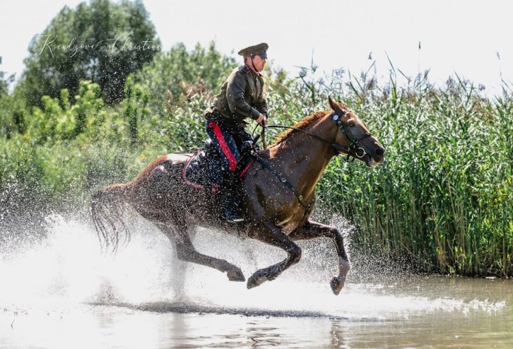 Красивая женщина в поле