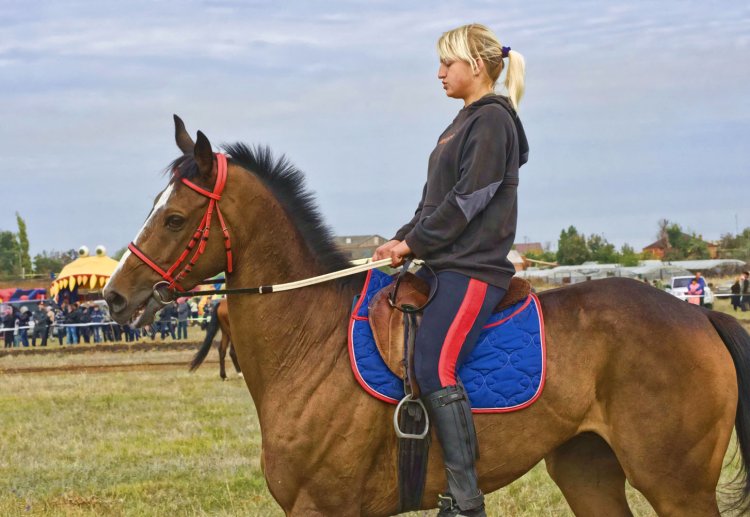 Донские казаки на лошадях