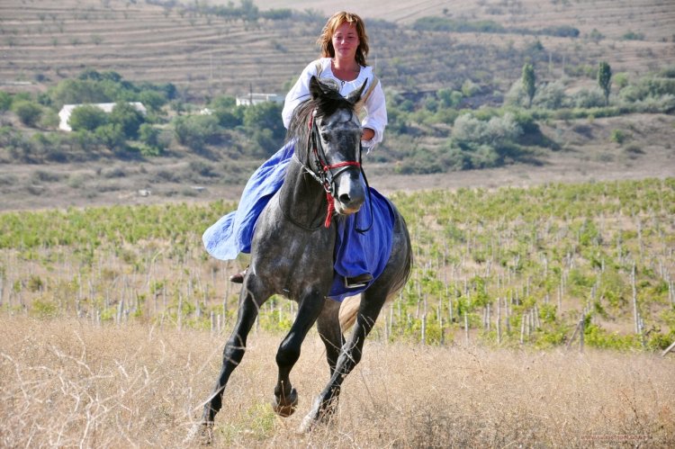 Верхом на коне