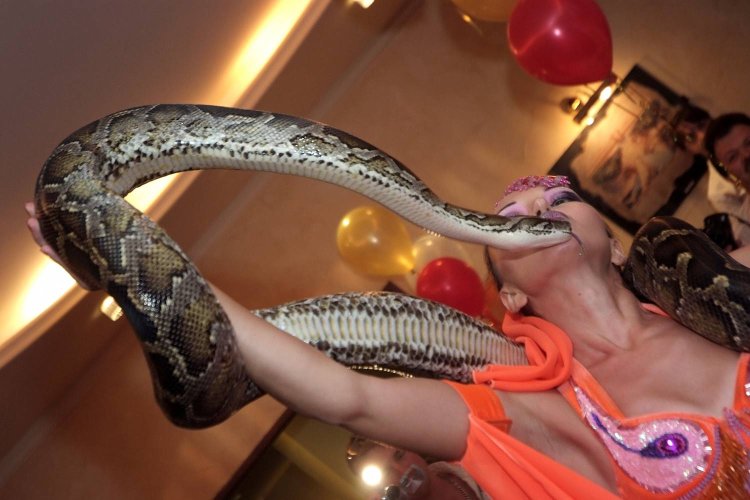 Мужчина со змеей