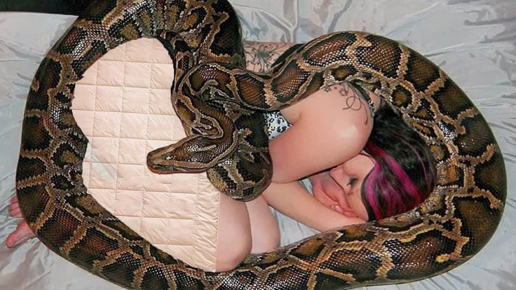 Карди би змея