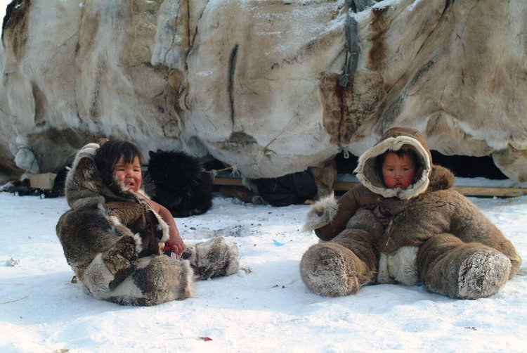 Ямал тундра ненцы