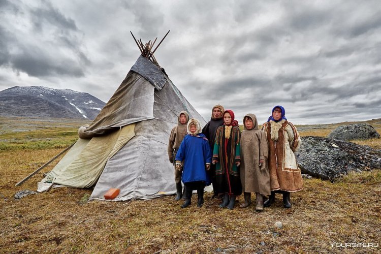 Разные культуры