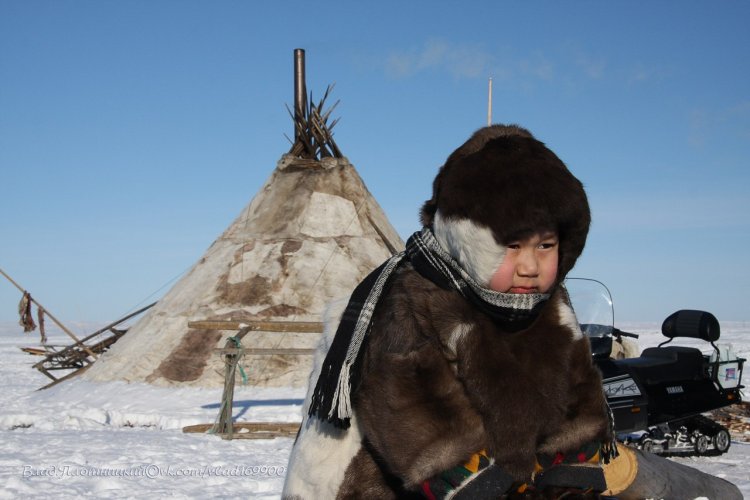 волосатые девушки