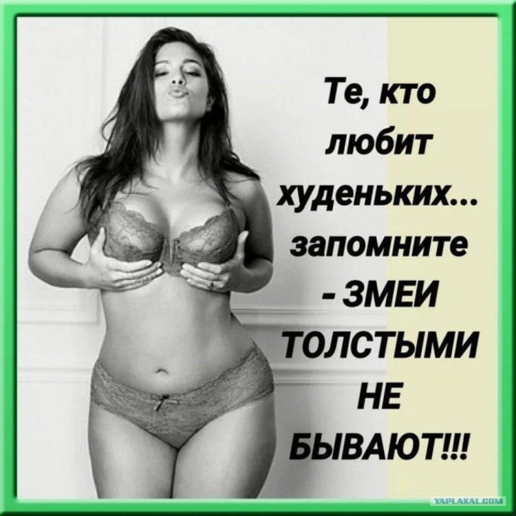 Толстые знаменитости