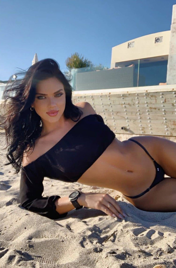 Модель MS Palomares