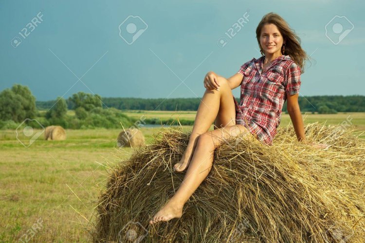 Красавицы на сенокосе