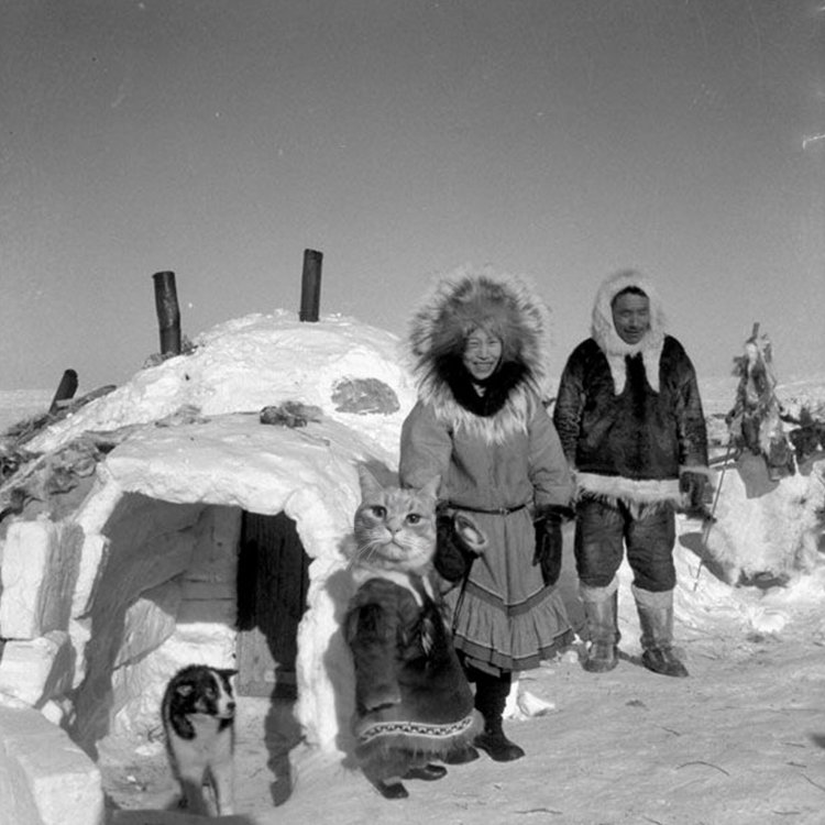 Джимми Нельсон фотограф