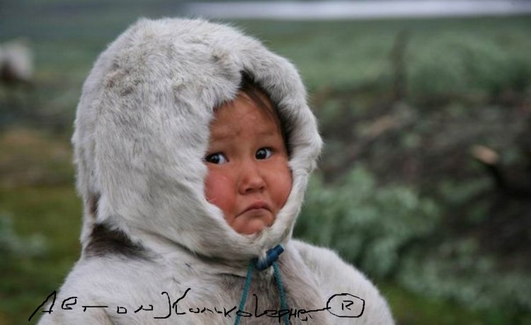 Стефанссон моя жизнь с эскимосами