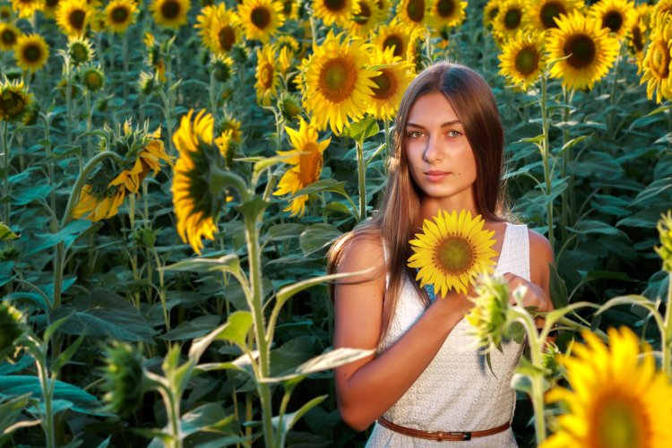 Девушка в подсолнухах