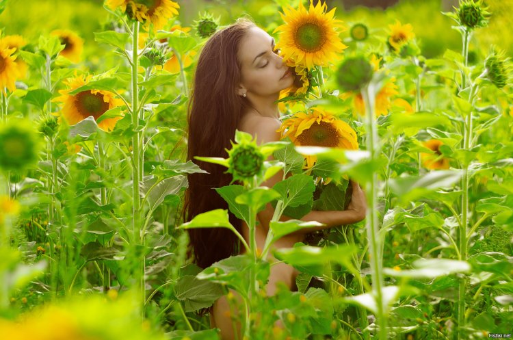 Фотосессия в подсолнухах ню