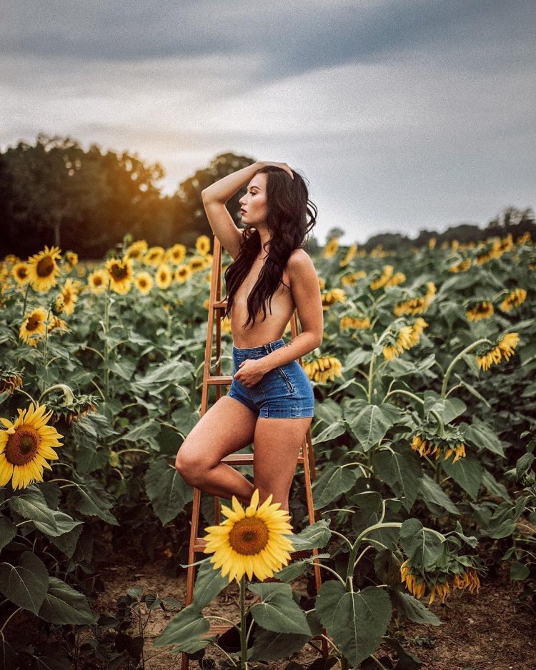 Эротическая фотосессия в подсолнухах