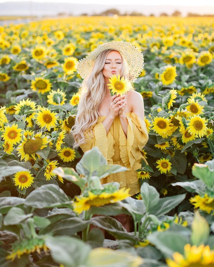 Девушка среди подсолнухов