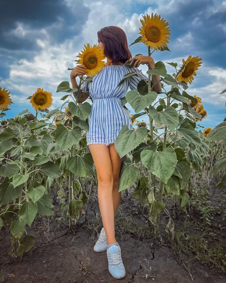 Креативная фотосессия в подсолнухах