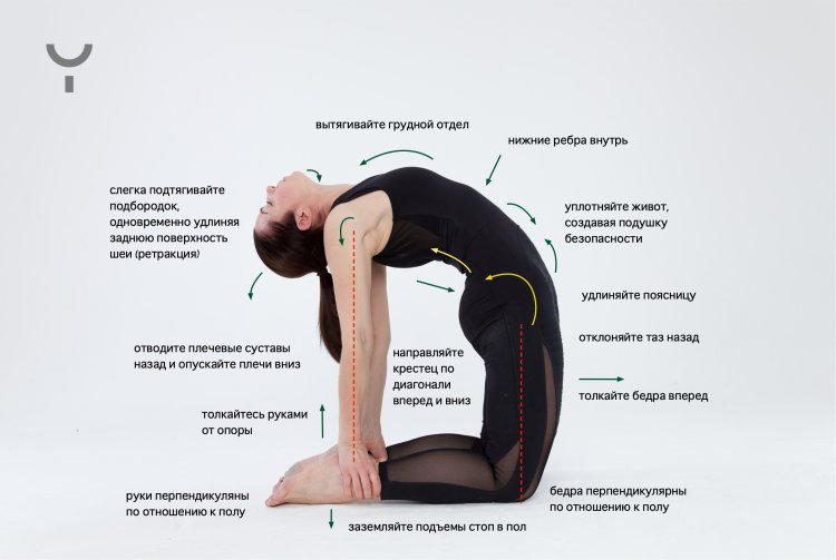 Красиво прогнулась