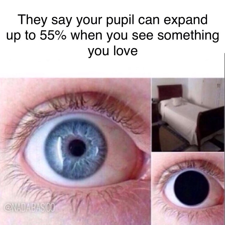 Паралитический мидриаз