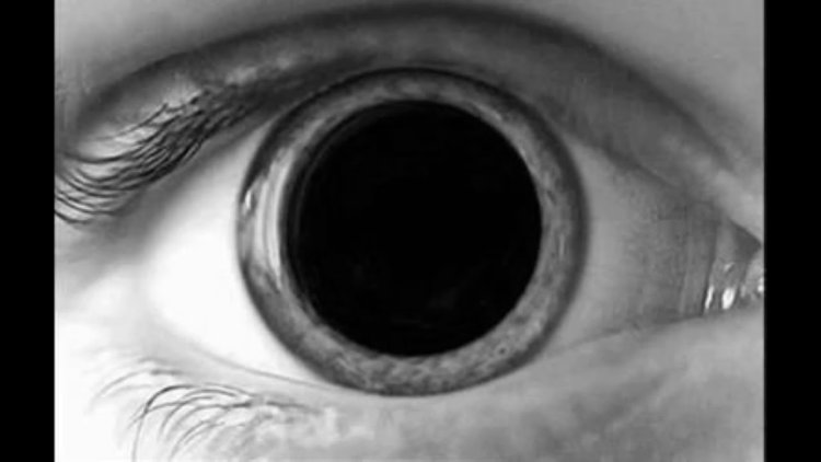 Самые необычные линзы