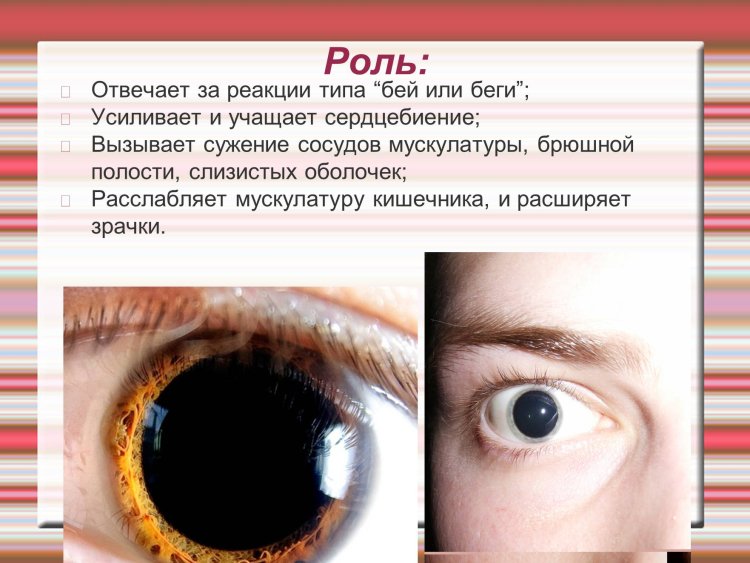 Большие зрачки