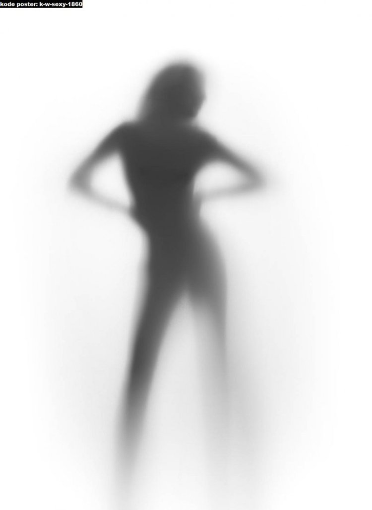 Силуэт за стеклом PN