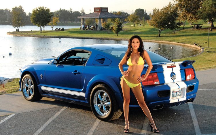 Девушки в бюстгальтерах частное