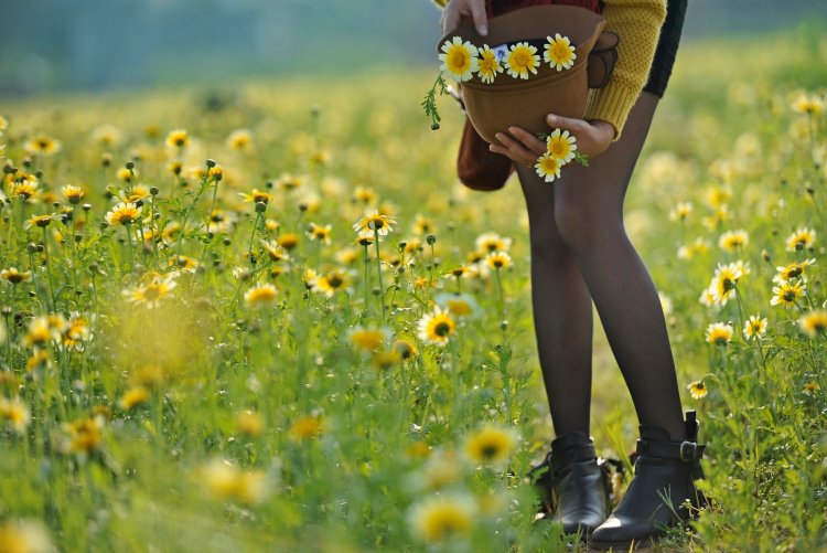 Девушка ноги в поле