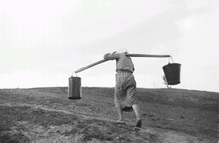 Украина 19 века