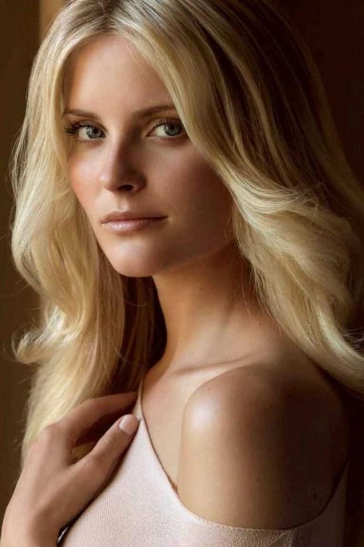 Скандинавская модель