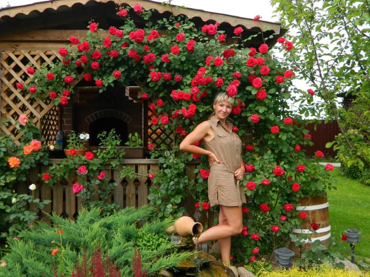 Жены на даче летом