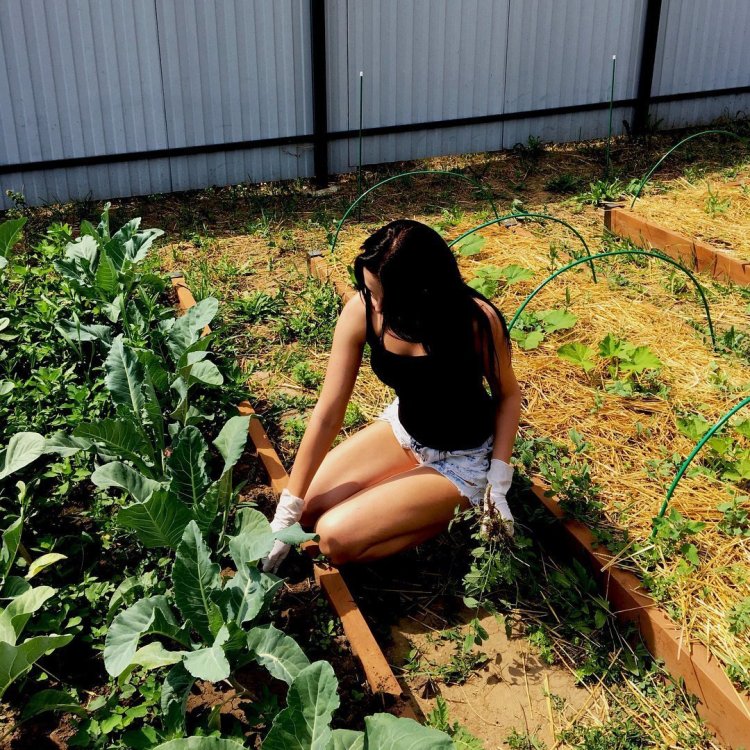 Девушки на даче на грядках