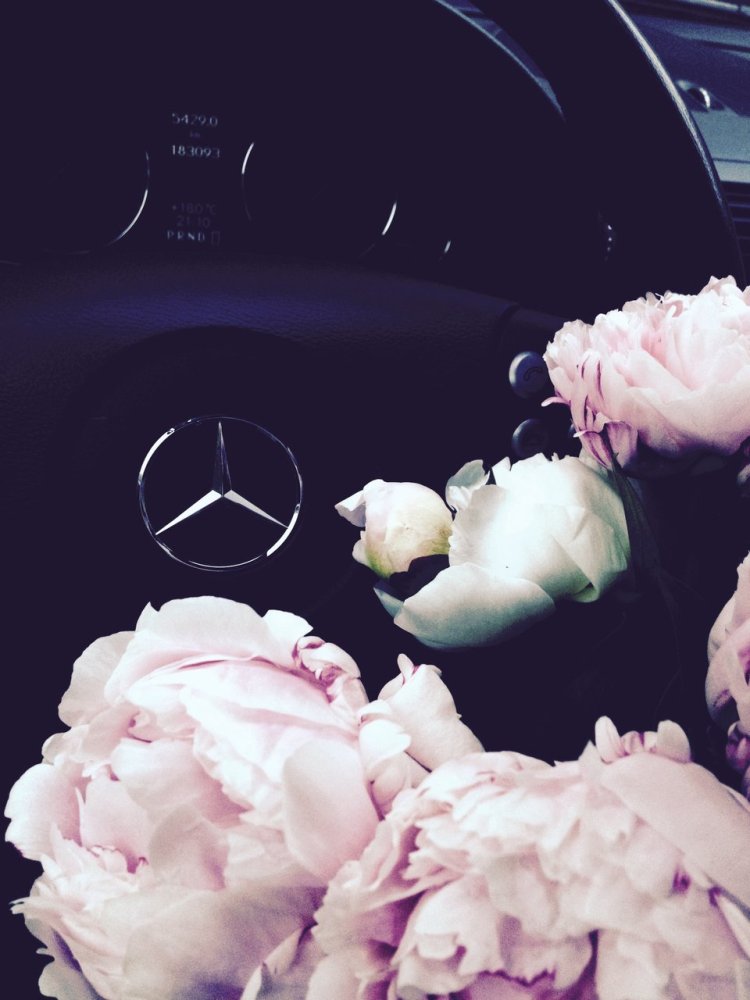 Пионы в машине