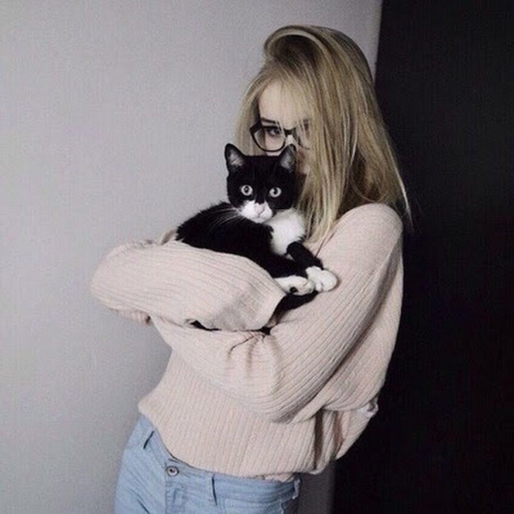 Топовые девушки с котом