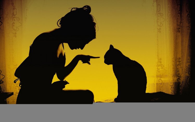 Девушка с черным котом