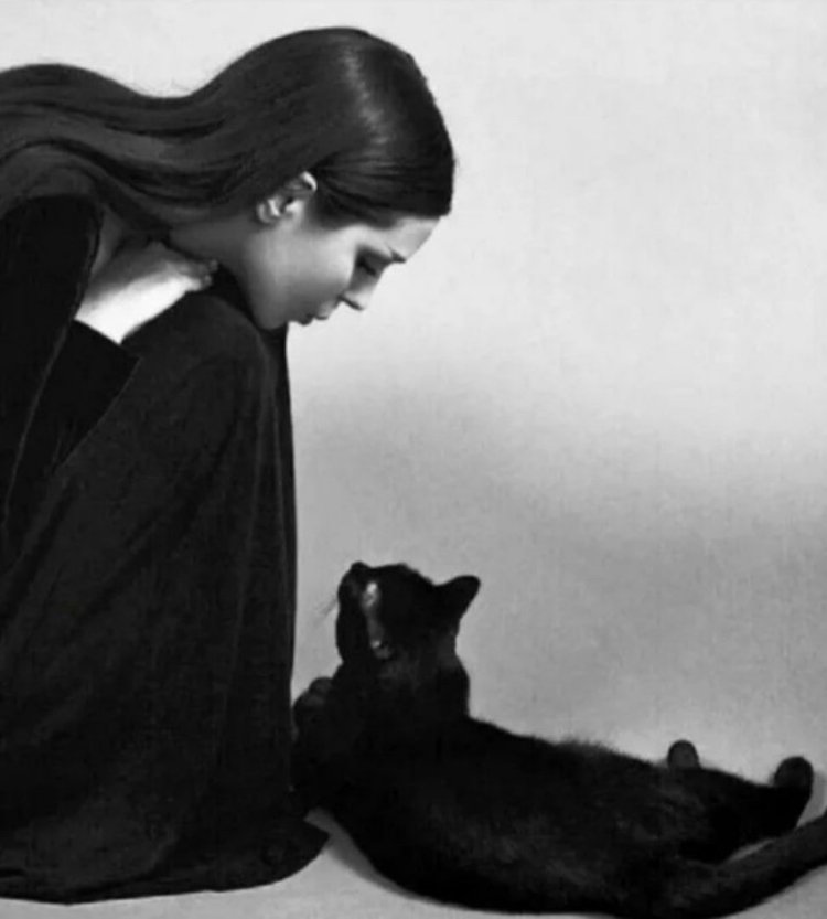 Топовые девушки с котом