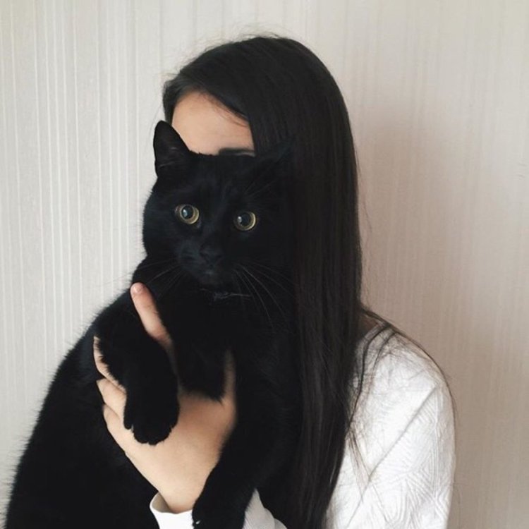 Девушка с котом со спины