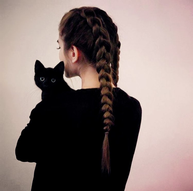 Самолет или коньяк