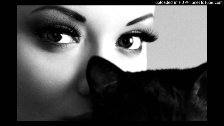 Брюнетка с кошачьими глазами