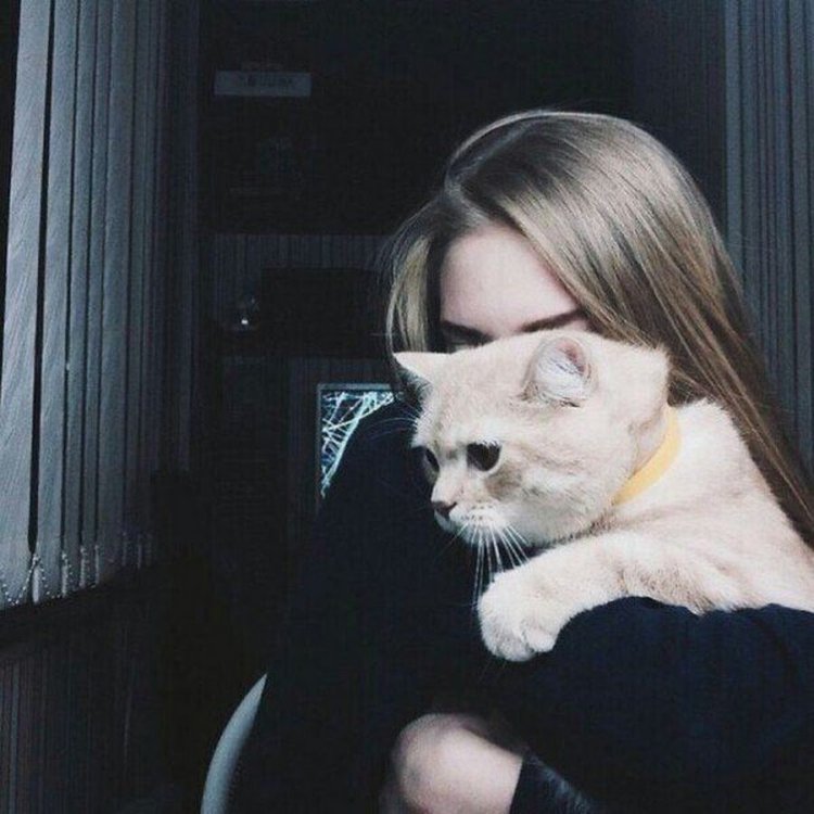 Девушка с котом Эстетика